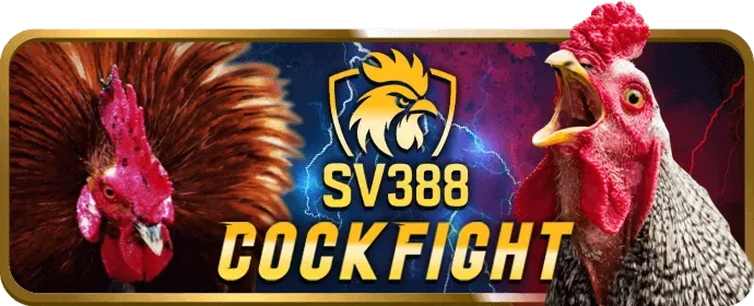 Khuyến mãi chào mừng Slot 789b3 casino